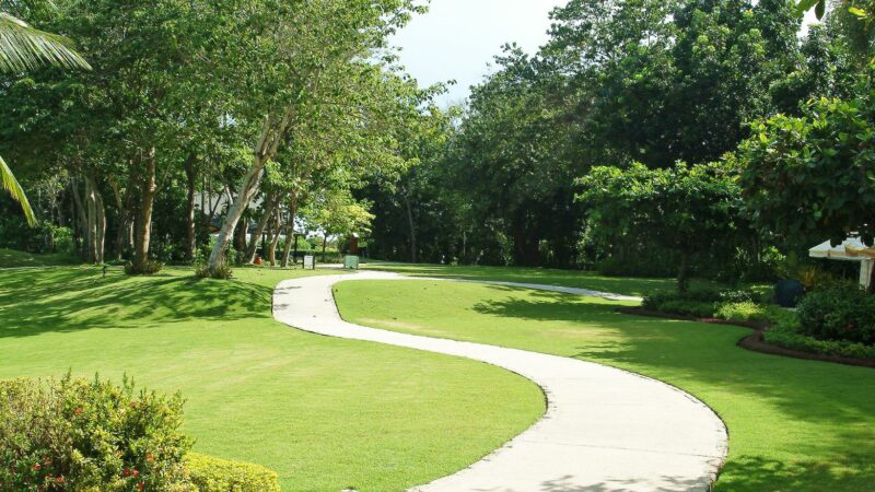 white deer park nature center